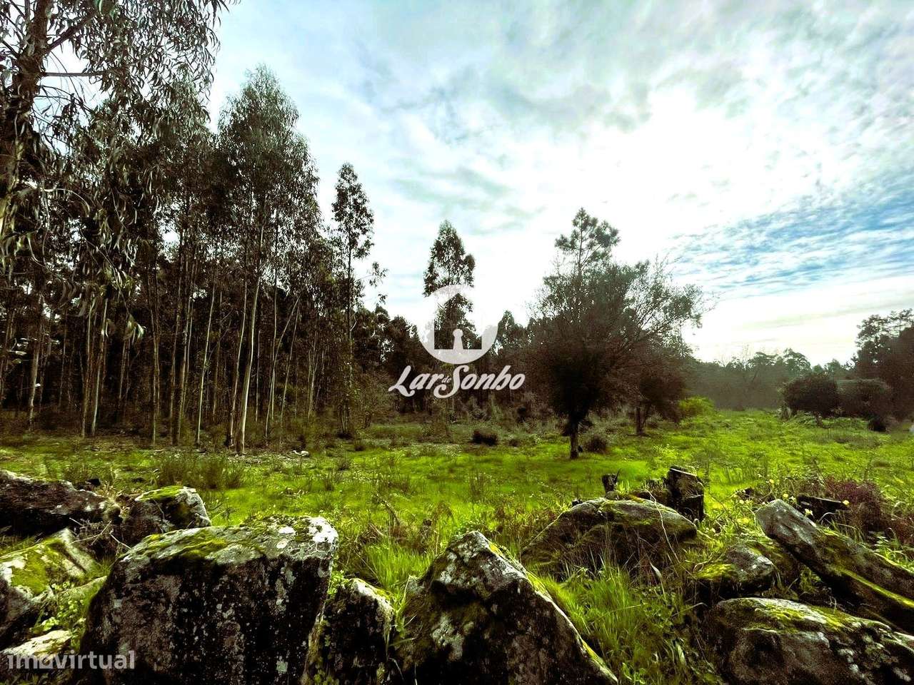 Terreno para construção em Barcelos - Grande imagem: 3/23