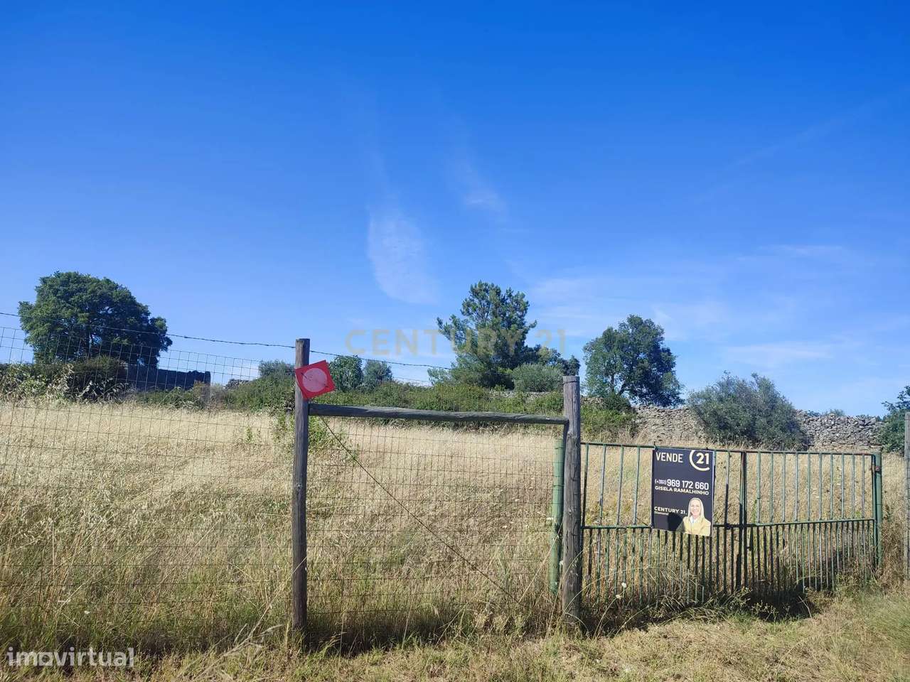 Terreno Rústico, Alcains - Grande imagem: 4/9