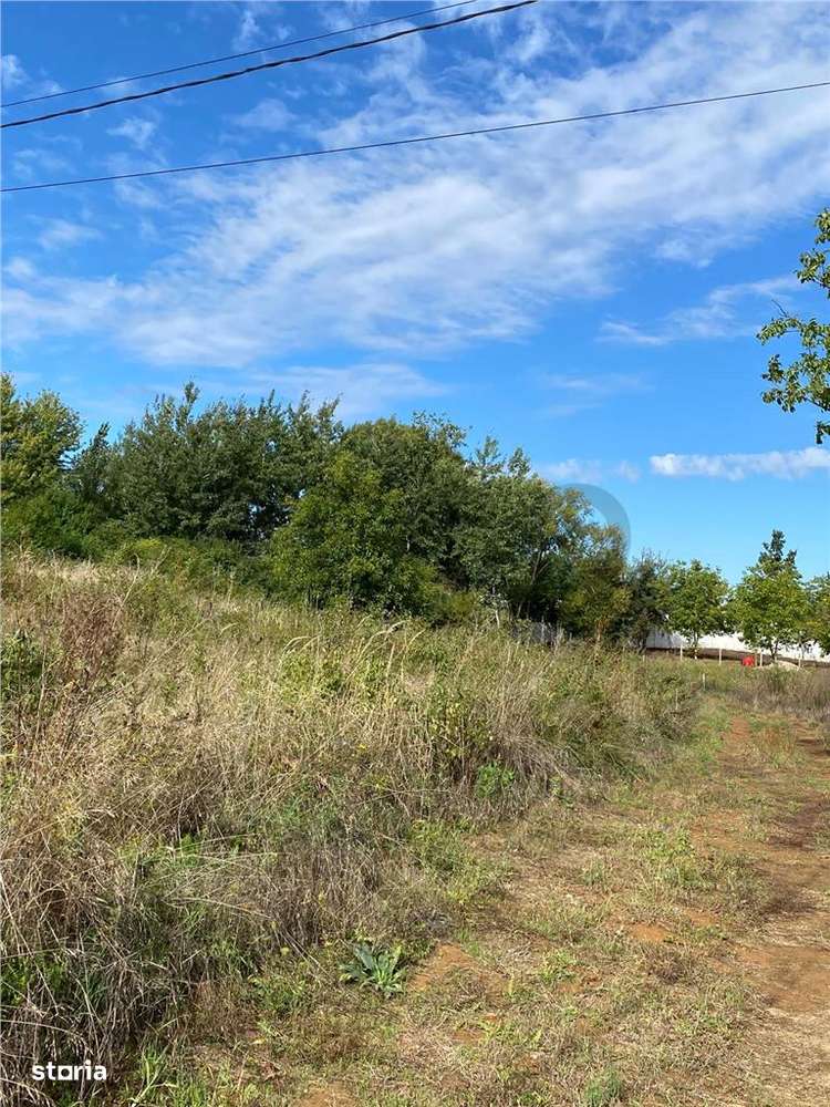 reco Teren extravilan in Dragesti spre Stracos 3367mp - Imagine principală: 2/2