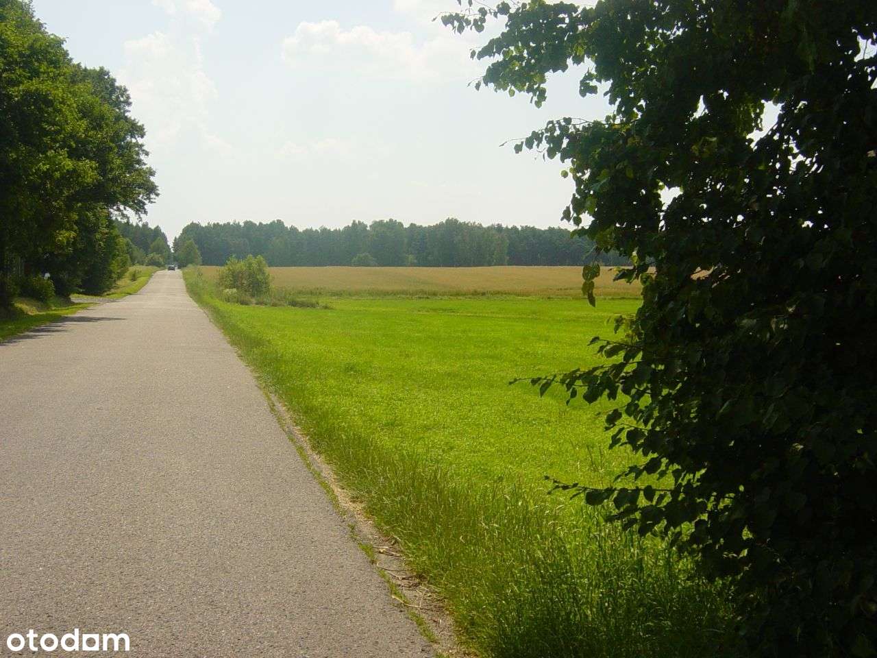 Działki budowlane lokata inwestycja dobry zakup ! - Pełny obrazek: 1/4