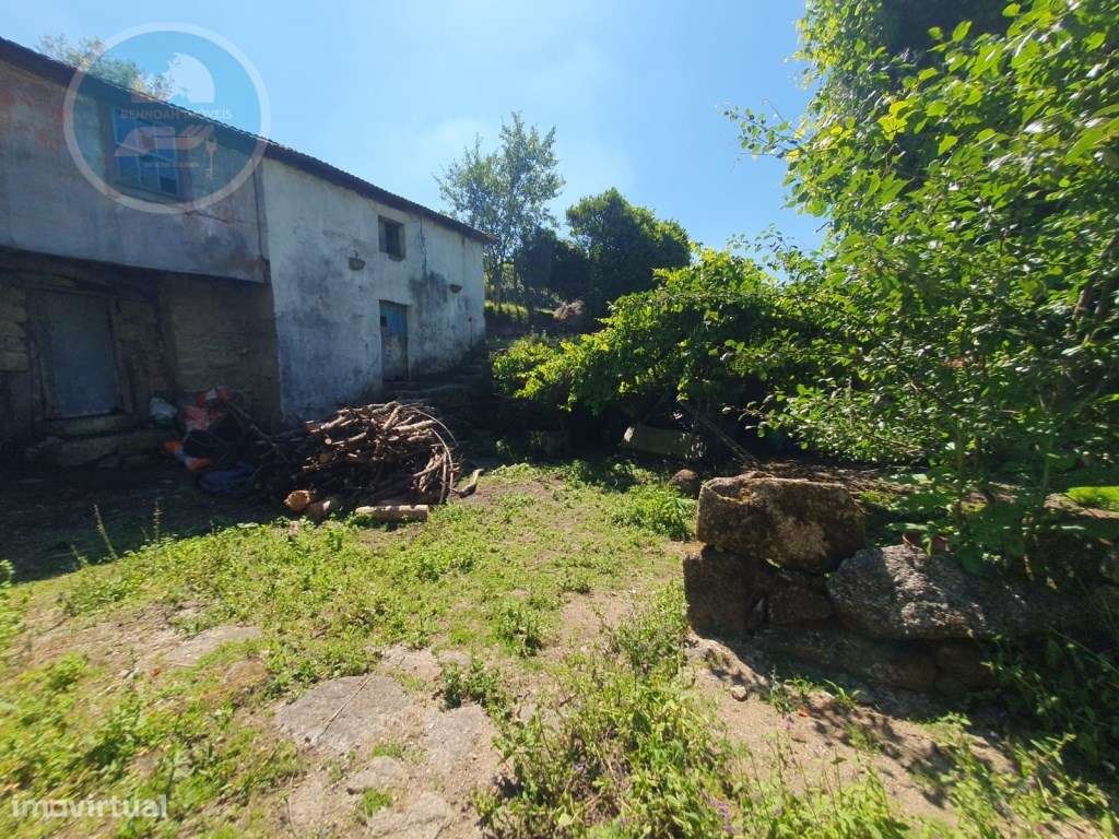 Quinta à venda para restauro em Arroteia freguesia de Rossas-6