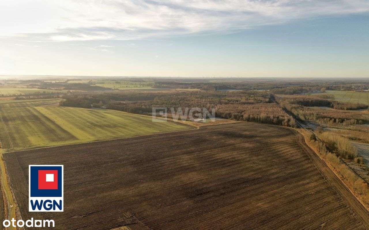 Działka budowlana, 1000m2, Reblino-11