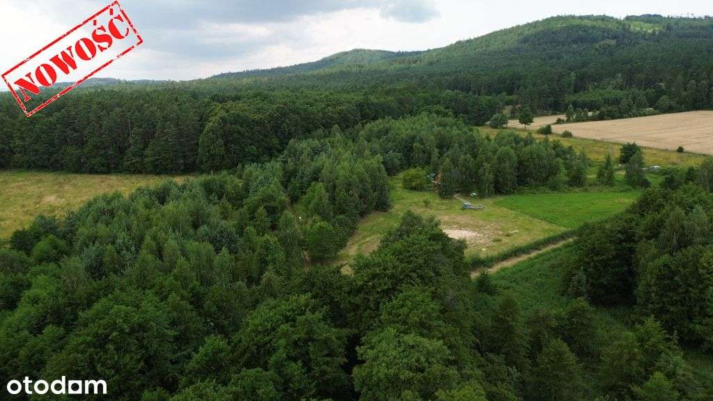 Działka budowlana 8500m2 (Ml), Słupice-2