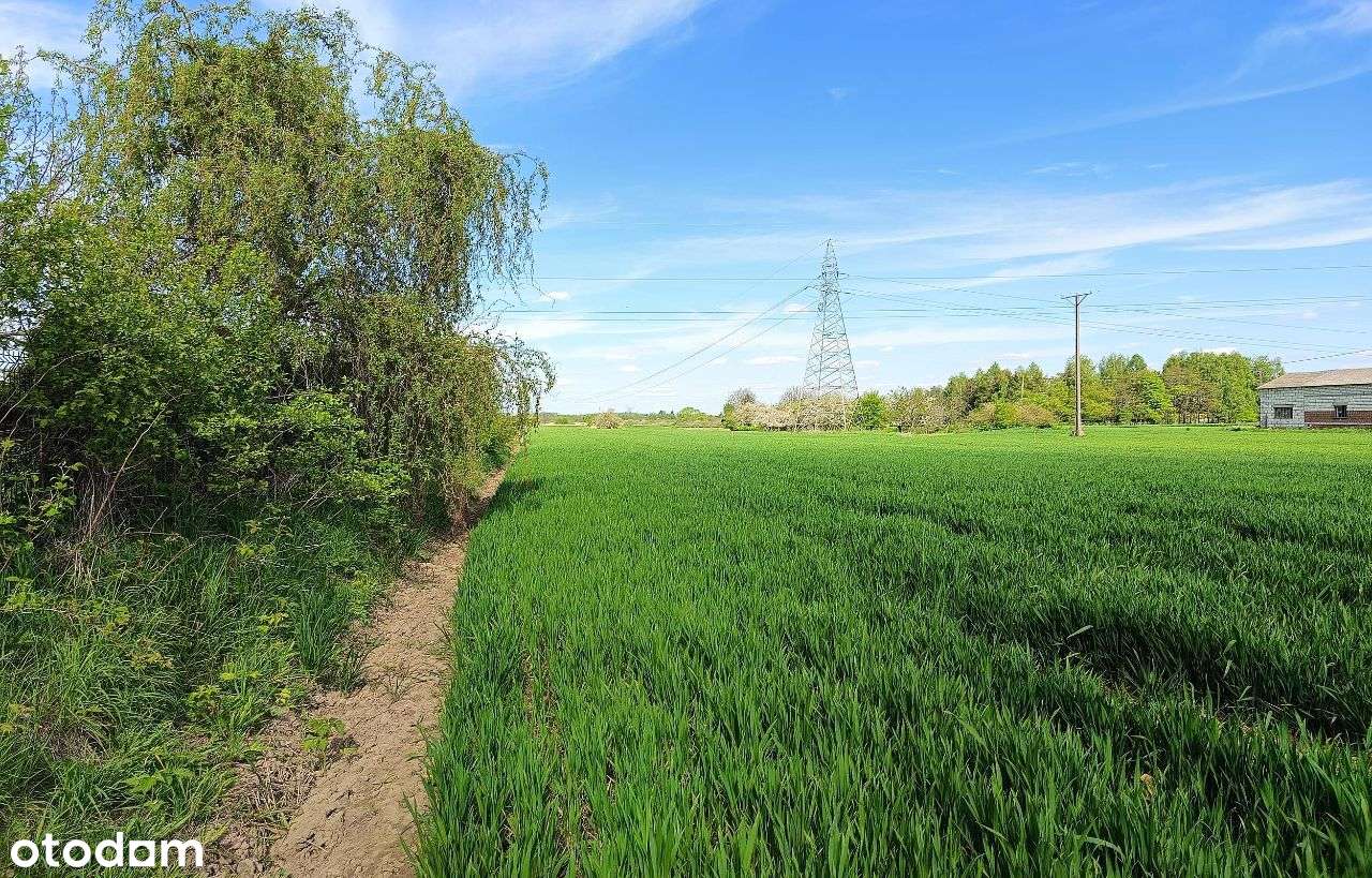 Działka budowlana 2 km od Zamościa, Chyża Kolonia - Pełny obrazek: 5/11