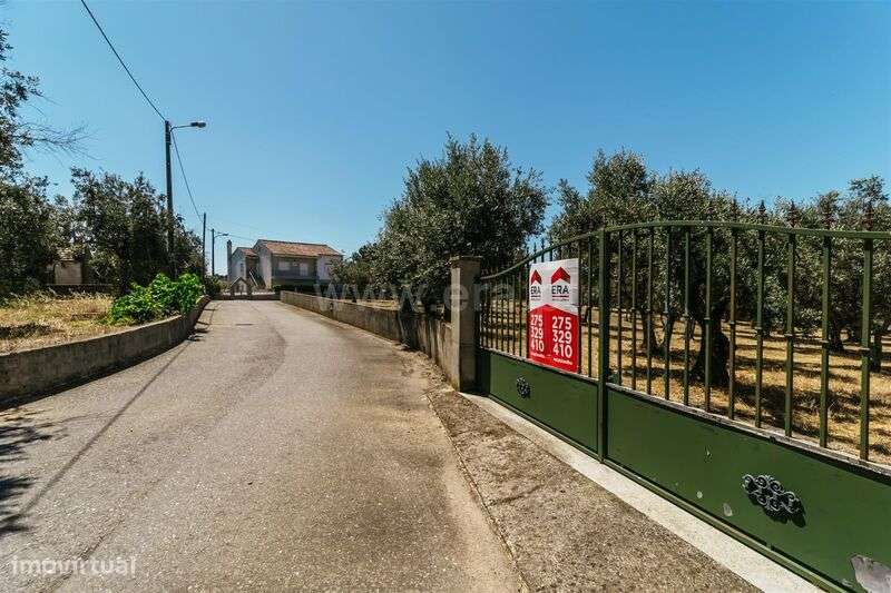 Lote / Covilhã, Dominguiso - Grande imagem: 3/20