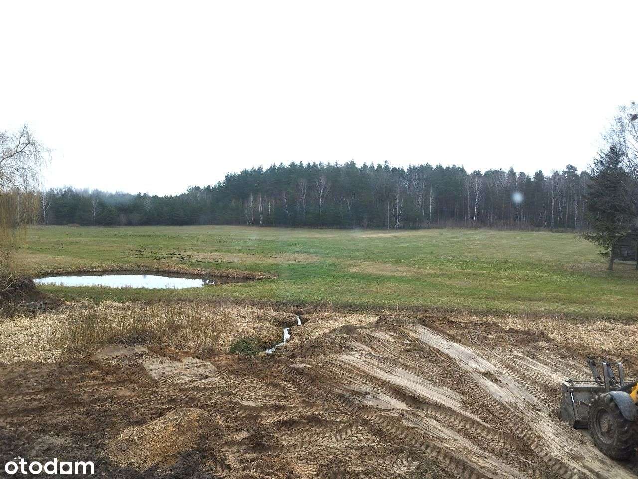 Bliźniaki w pięknej okolicy, blisko miasta - Pełny obrazek: 4/6