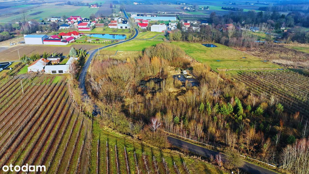 Gotowa pod inwestycję! Uzbrojona działka 1,9 ha pod produkcję,magazyny-5