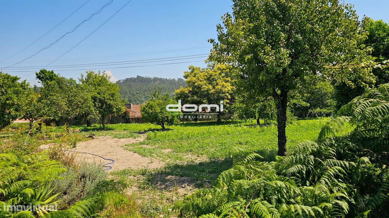 Terreno com viabilidade de construção em Vouzela - Grande imagem: 5/6