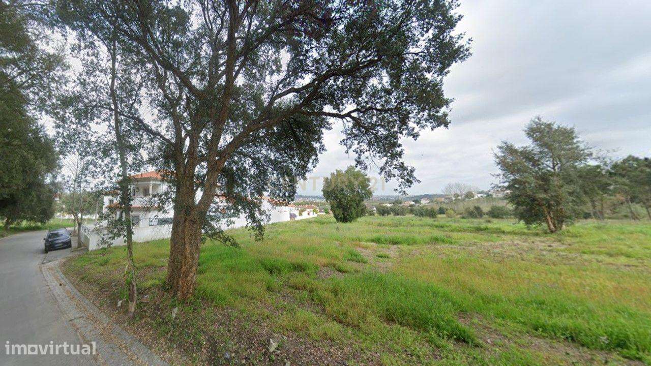 Terreno c/ viabilidade para 10 moradias - Grande imagem: 5/7