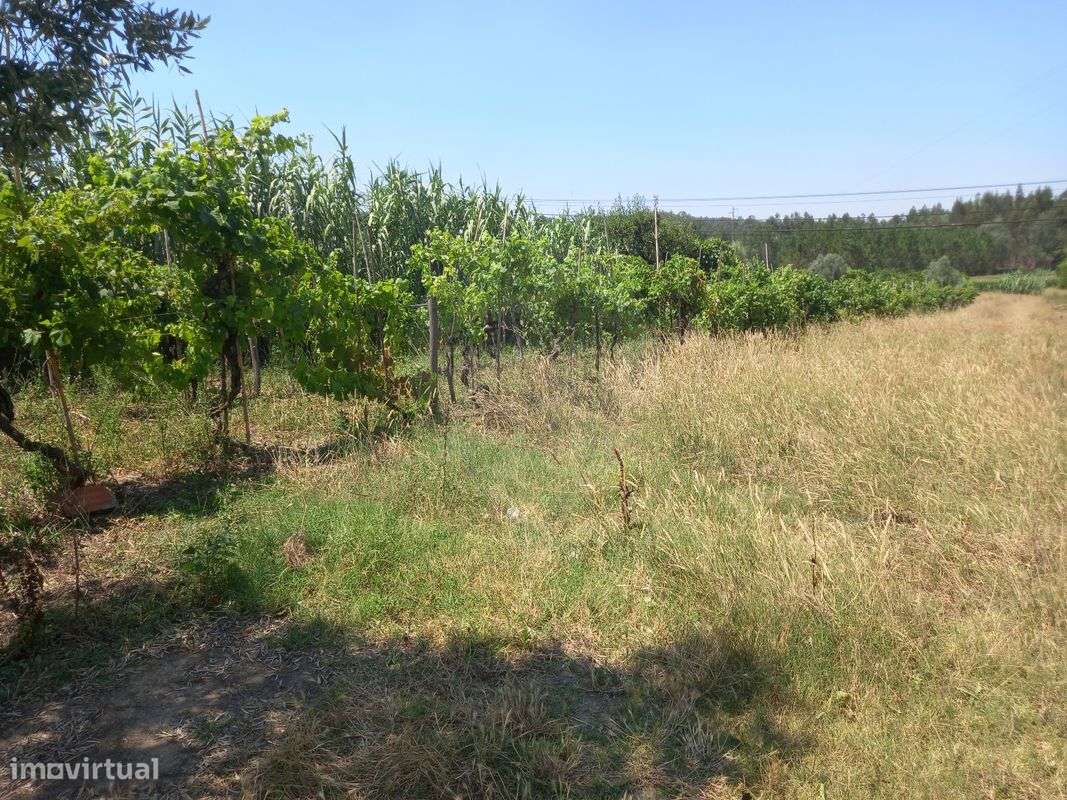 Terreno  para venda - Grande imagem: 3/6