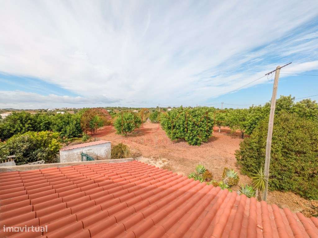 Moradia Rústica T6 com 5 Hectares em Tunes, Silves-34