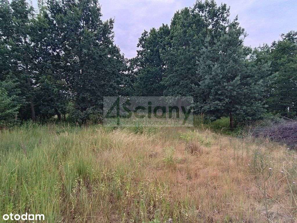 Idealnie cicha, piekna działka w Józefowie! - Pełny obrazek: 4/7