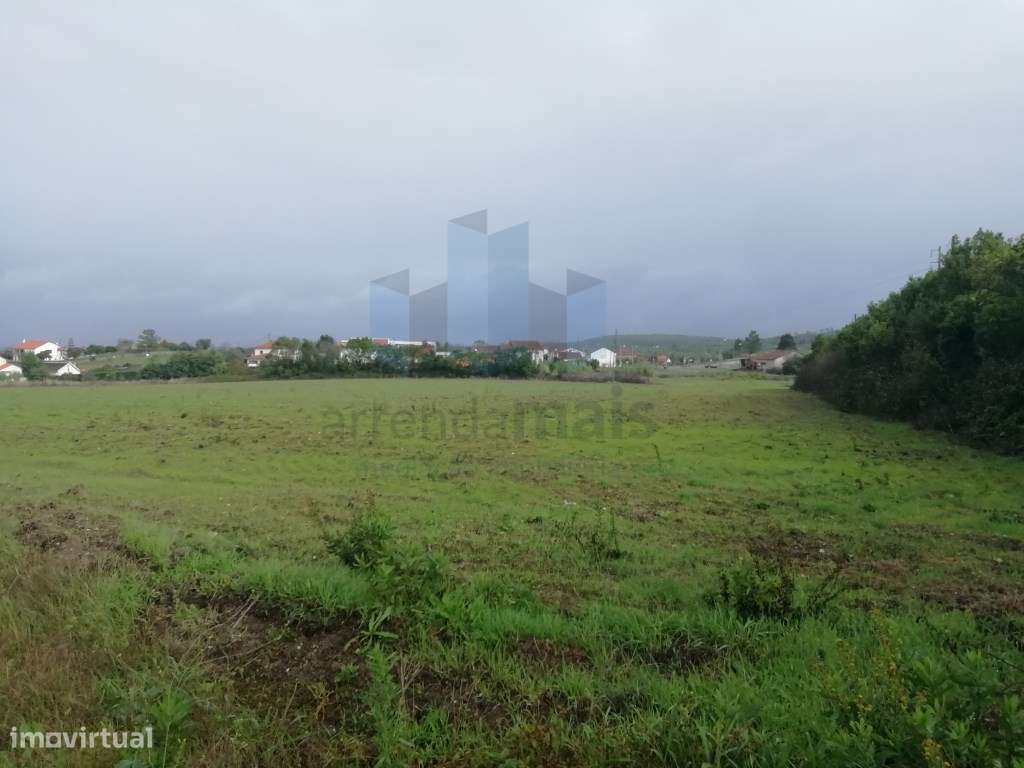 Terreno plano junto a Coimbra - Grande imagem: 5/5