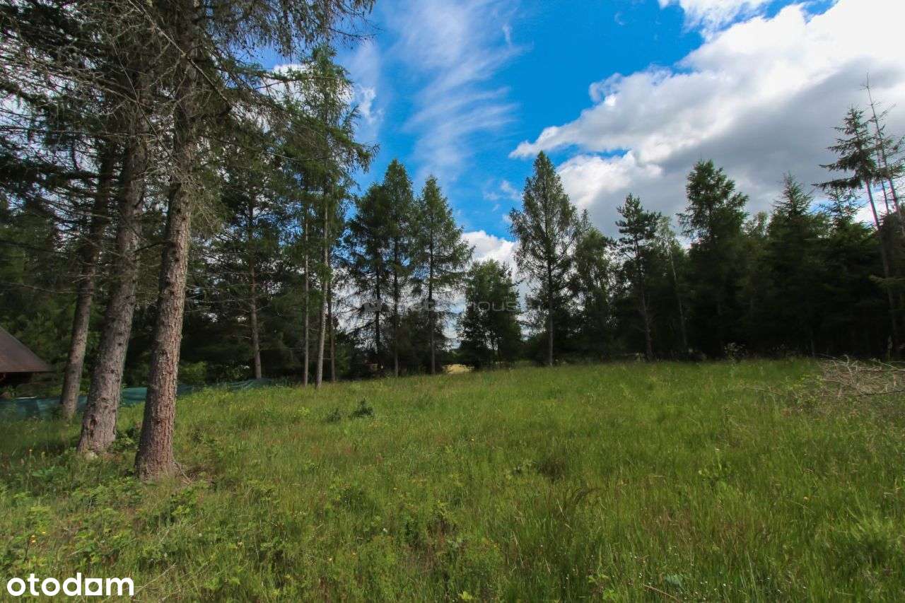 Na sprzedaż działka w miejscowości Brzeźno. - Pełny obrazek: 4/9