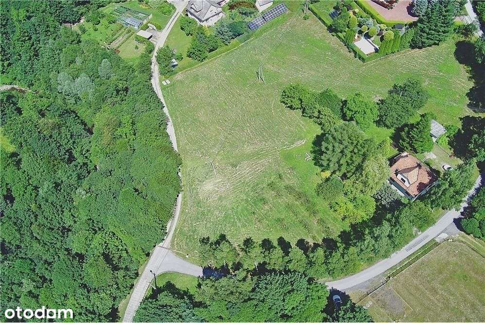 Duża działka rekreacyjna - Pełny obrazek: 5/8