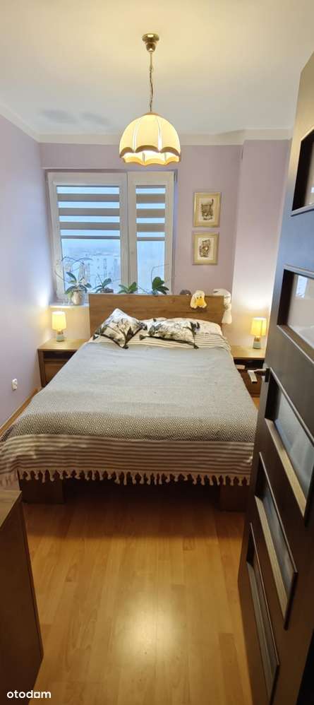 Dwupokojowe mieszkanie z balkonem i piwnicą - Pełny obrazek: 3/11