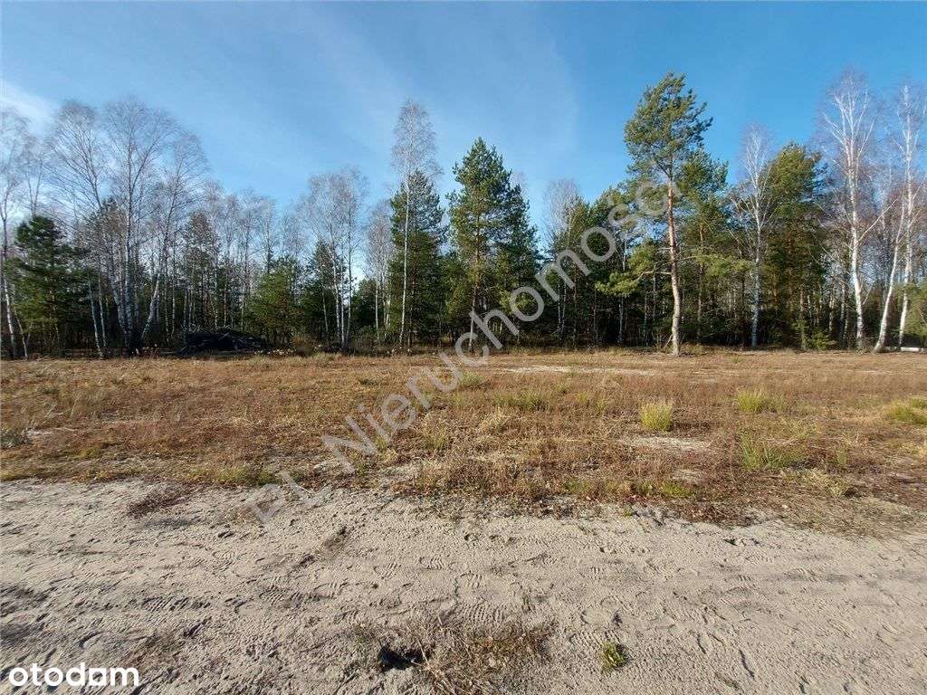 Ostatnia - Piękna Działka W Dobrej Cenie-11