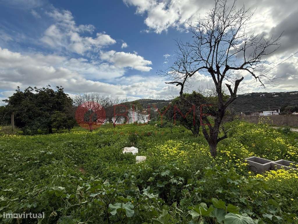 Terreno Urbano com Projeto Aprovado | São Brás de Alportel - Grande imagem: 4/22