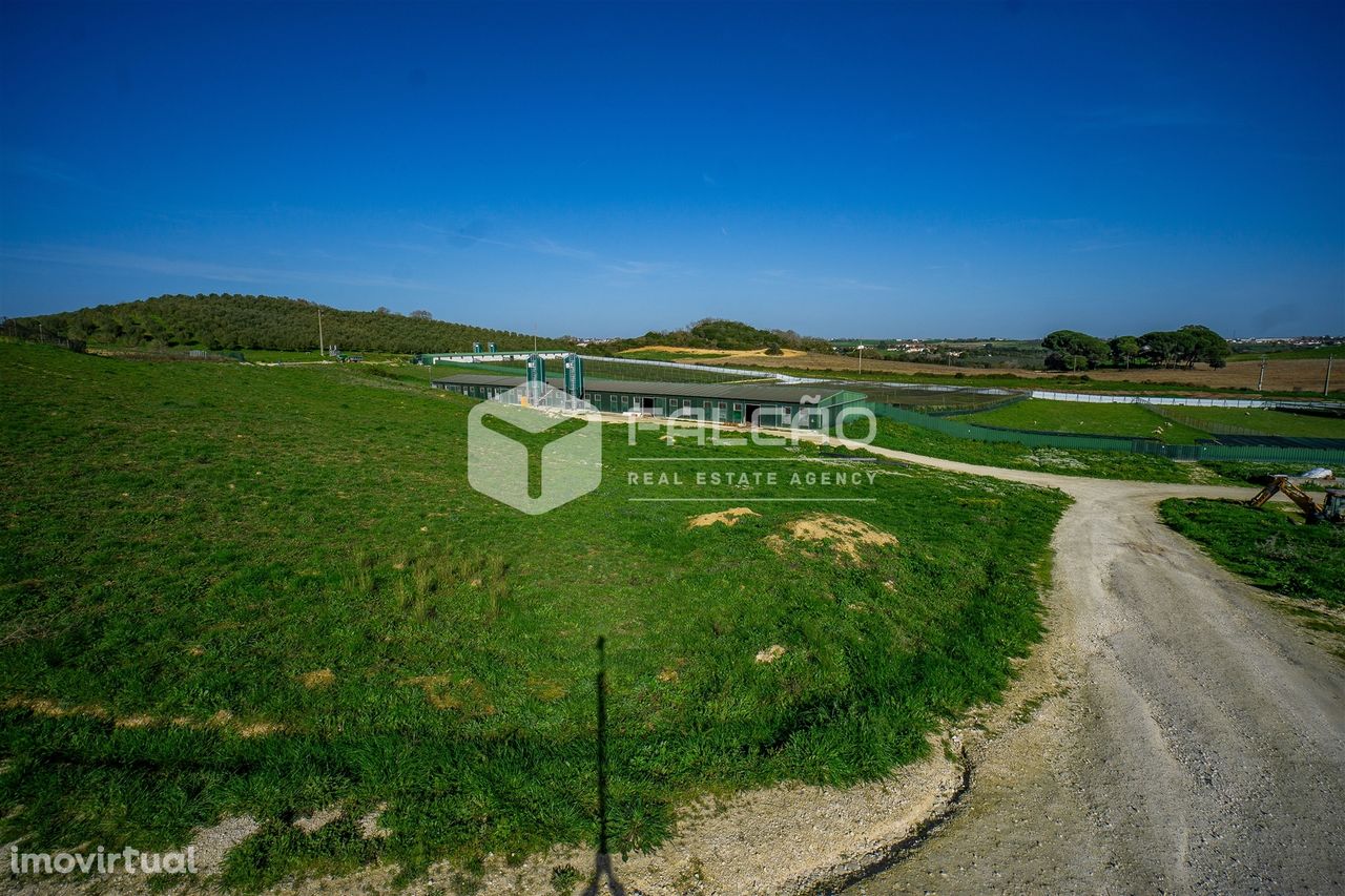 Herdade  Venda em Moçarria,Santarém