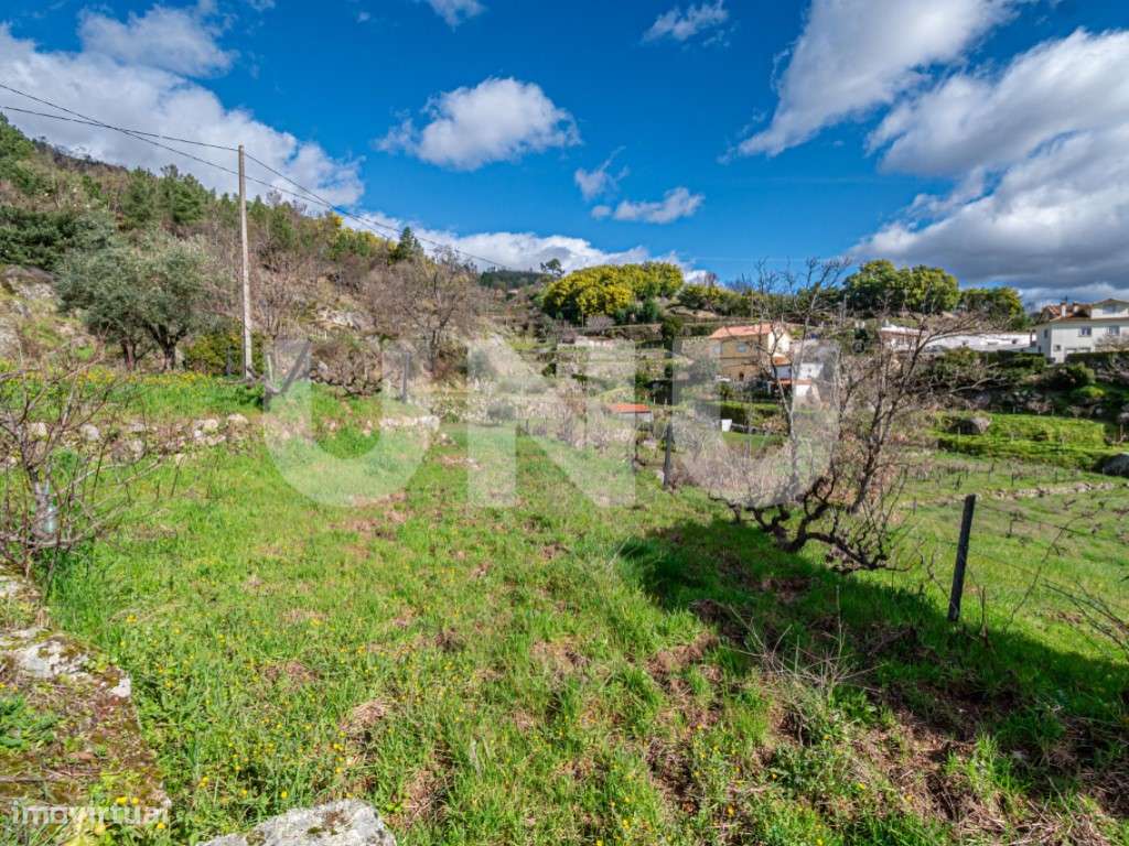 Quinta T2 com Habitação, Infraestruturas Agrícolas e Terreno com Vi...-41