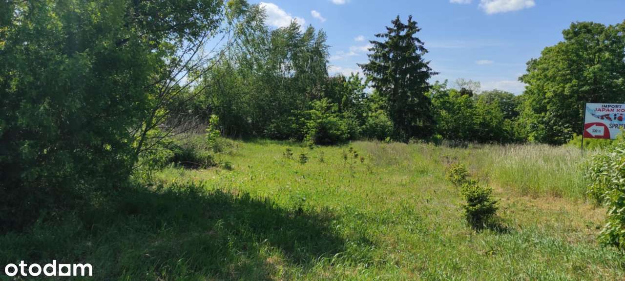 Dom z budynkami gospodarczymi i dużą działką. - Pełny obrazek: 4/10