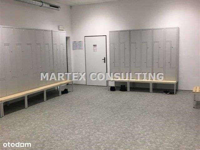 Hala/Magazyn, 2 432 m², Wodzisław Śląski - Pełny obrazek: 5/9