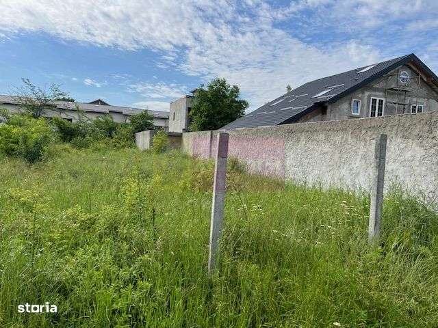 Teren Ghencea- Dantelei- Darvari. - Imagine principală: 2/4