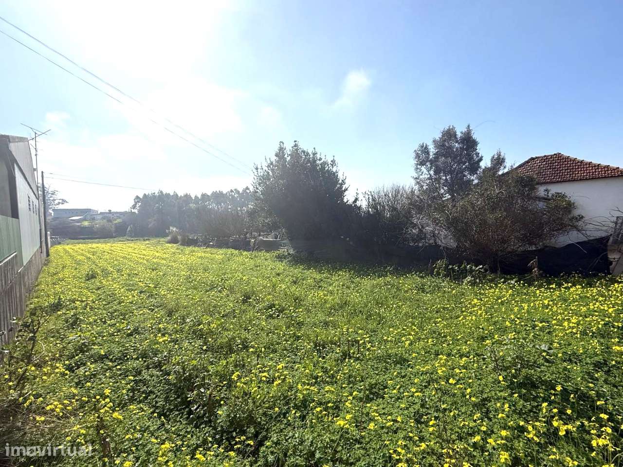 Terreno p/ construção em S. João de Ovar-1