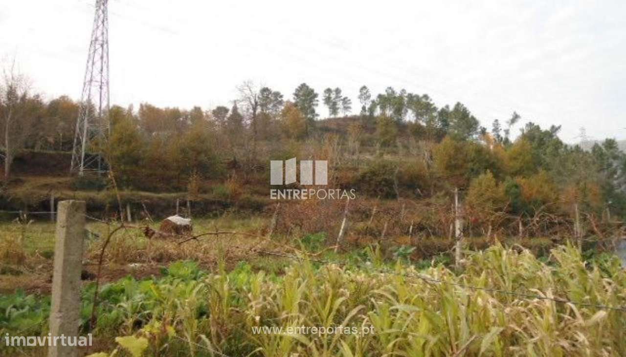 Venda Terreno, São Cristóvão de Nogueira, Cinfães - Grande imagem: 5/13