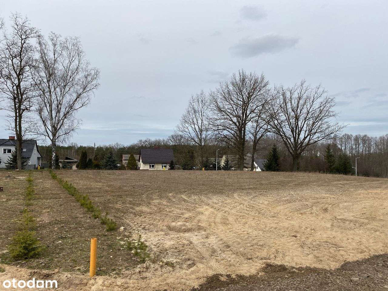 Działka budowlana - 600m od jeziora Wojnowskiego - Pełny obrazek: 4/9