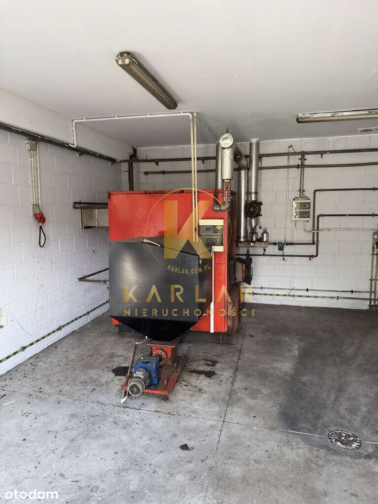 Hala Magazyn Produkcja Pieczarki 2200 m2 Dolsk - Pełny obrazek: 4/13