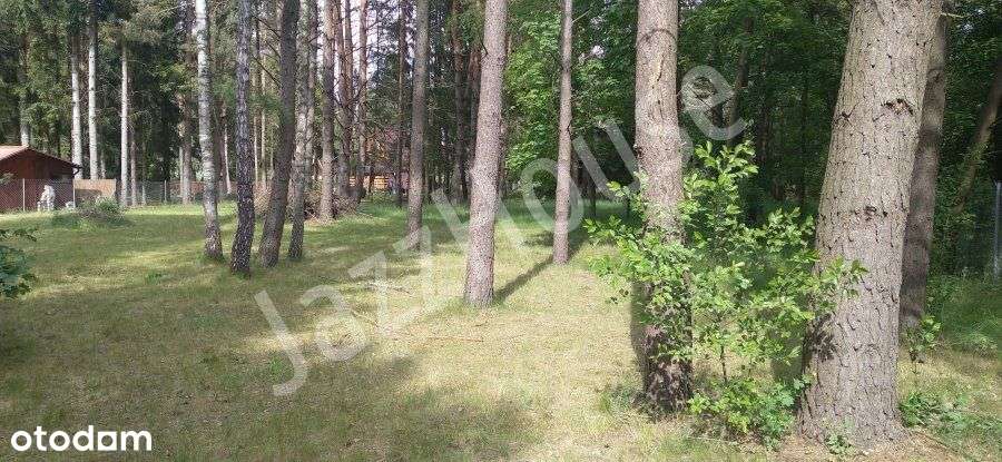 ogrodzona działka Puste Łąki - Pełny obrazek: 3/6