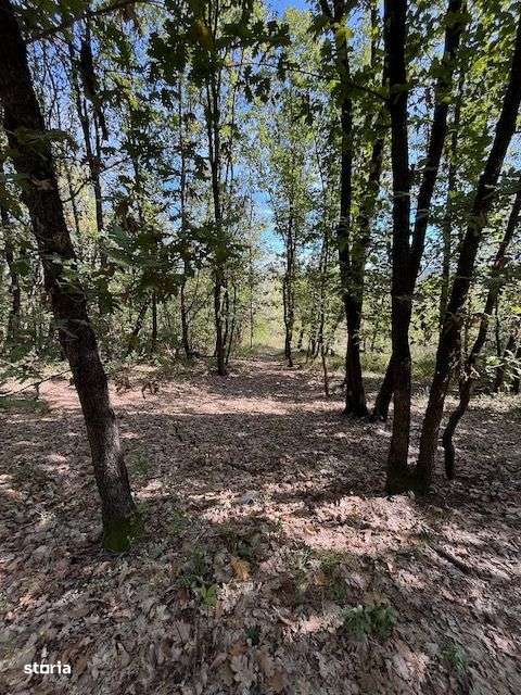 Casa veche cu teren generos in com. Rosiile, Jud. Valcea-7