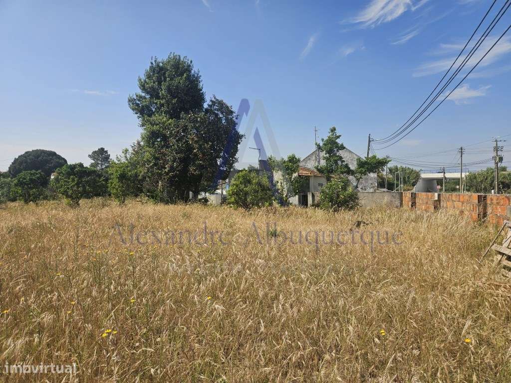 Quinta com 3 Habitações | Pinhal Novo | Terreno 5.400 m²-16