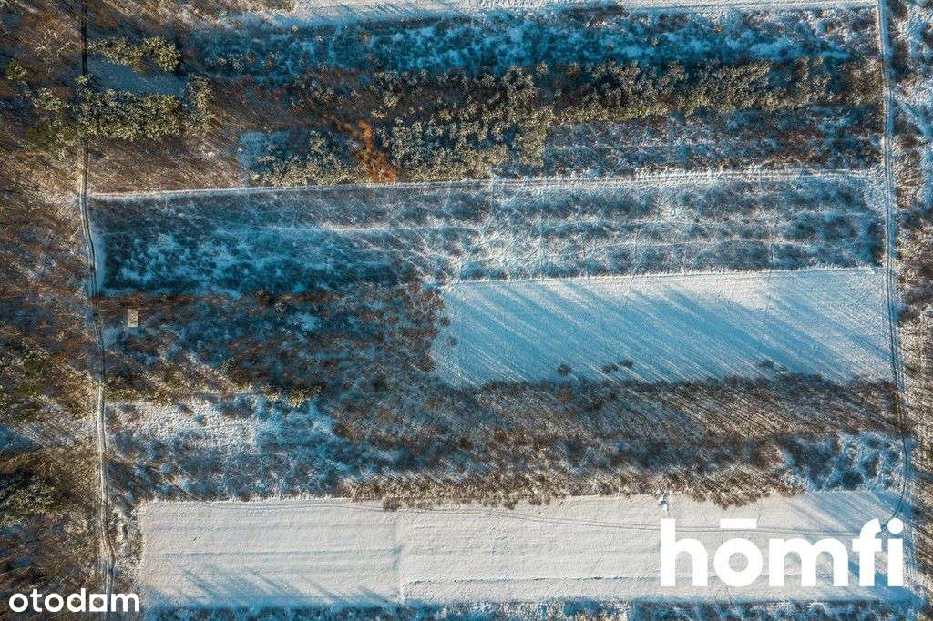 Działka Rolna 1,14 ha k. Rzeszowa / Pogwizdów - Pełny obrazek: 4/9