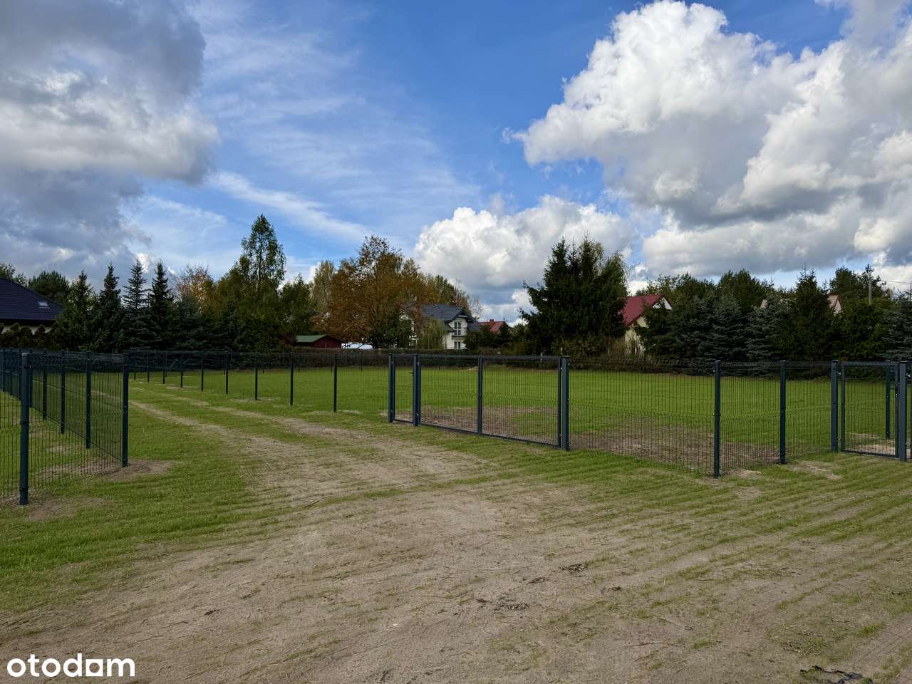 Działki przy jeziorze Lucieńskim i lesie państwowym-5