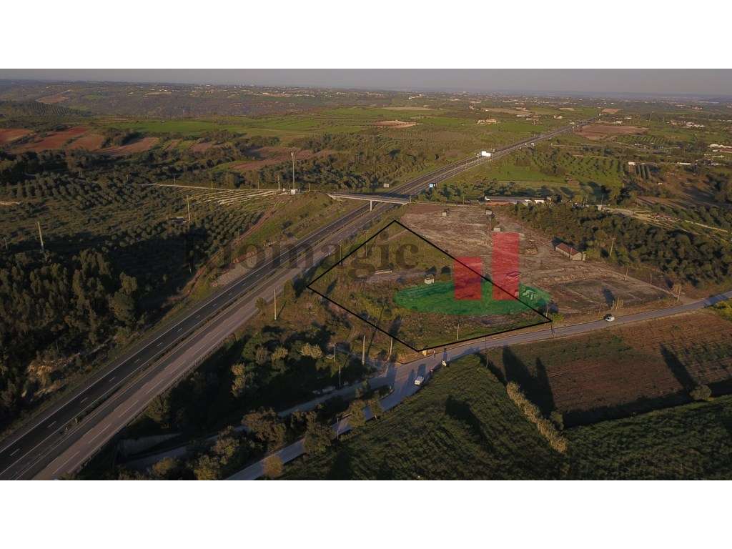 Terreno em Malaqueijo - Rio Maior ***RIOMAGIC*** - Grande imagem: 3/12