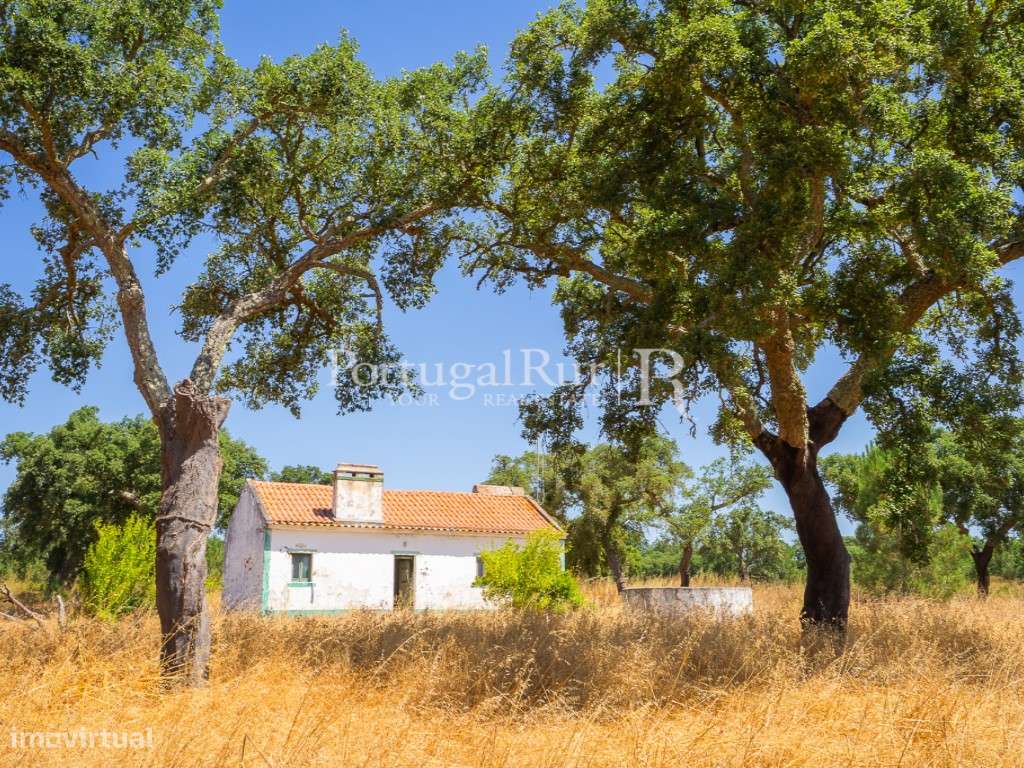 Quinta de 20ha com projeto para Turismo Rural a 1h de Lisboa-29