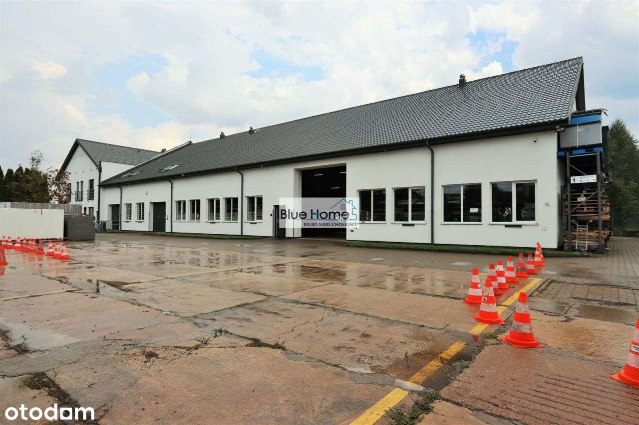 Na Wynajem Dwie Hale + Plac Manewrowy w Pigży - Pełny obrazek: 5/14