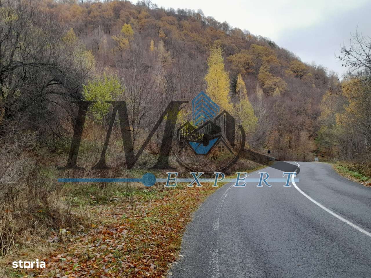 Teren extravilan direct la șoseaua TRANSALPINA - Imagine principală: 3/5