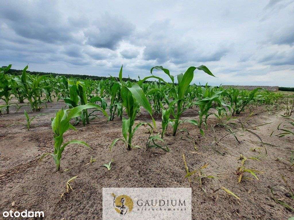 Turystyka nad brzegiem rzeki Obry-19