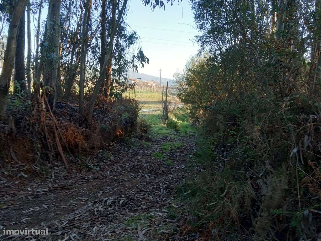 2 Terrenos (3.600 m2) em Anais. - Grande imagem: 5/5