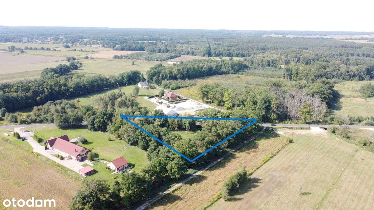 Działka z dużym potencjałem pośród starodrzewia - Pełny obrazek: 3/3