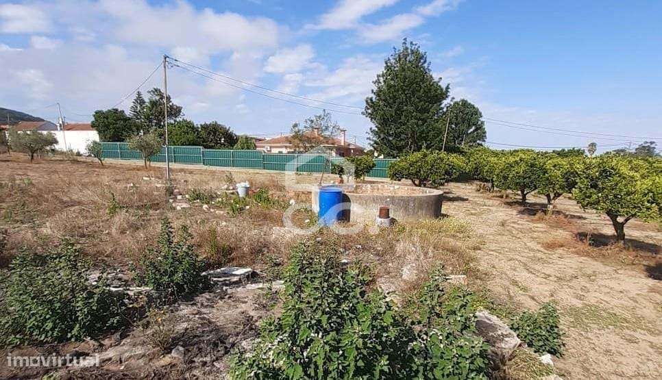 Terreno para construção com 7.415 m² em Cabanas, Quinta do Anjo, Palme-15