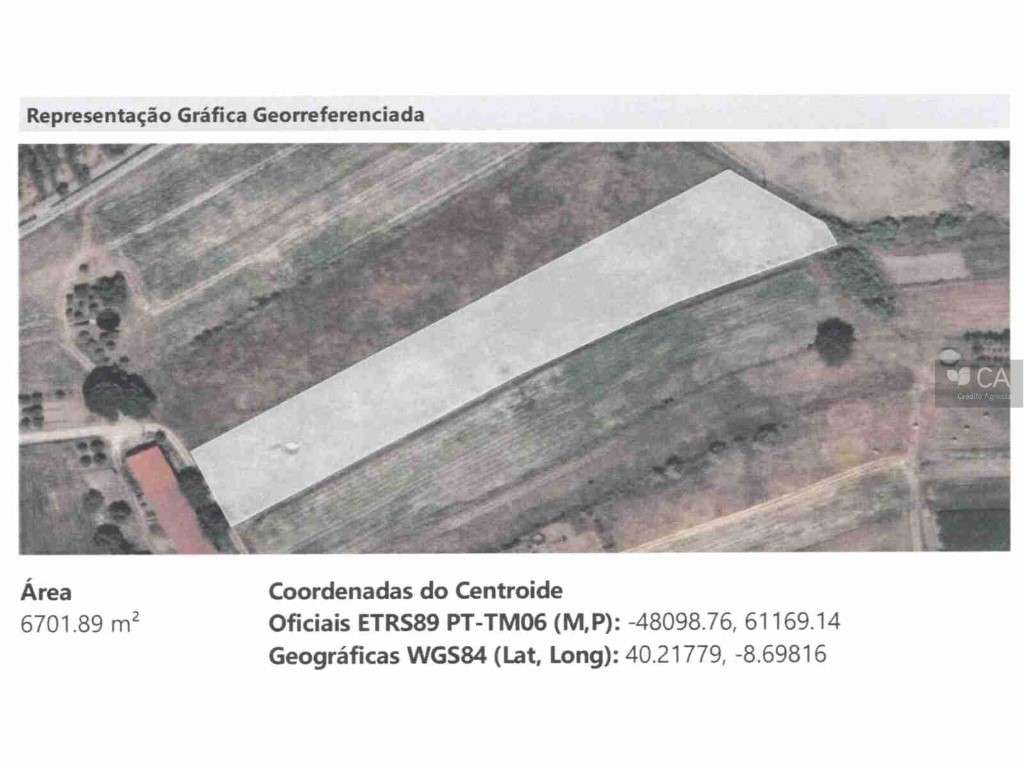 TERRENO RUSTICO - SERRINHA - Grande imagem: 2/2