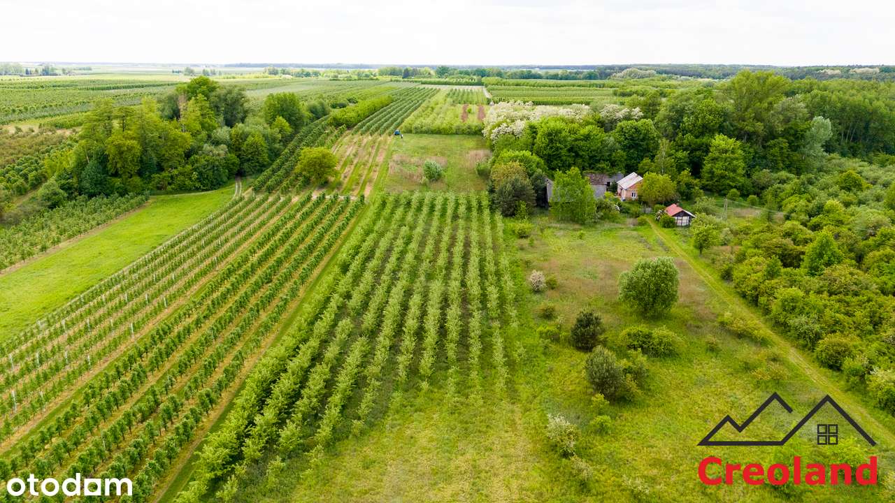 Bardzo atrakcyjne i pięknie położone działki-6