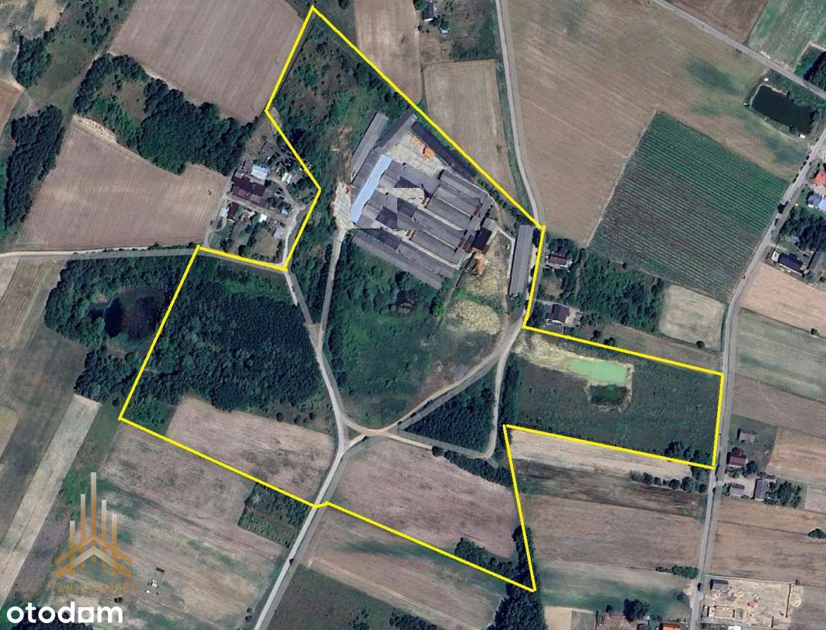 Teren inwestycyjny uzbrojony+budynki - pow. płocki - Pełny obrazek: 2/20