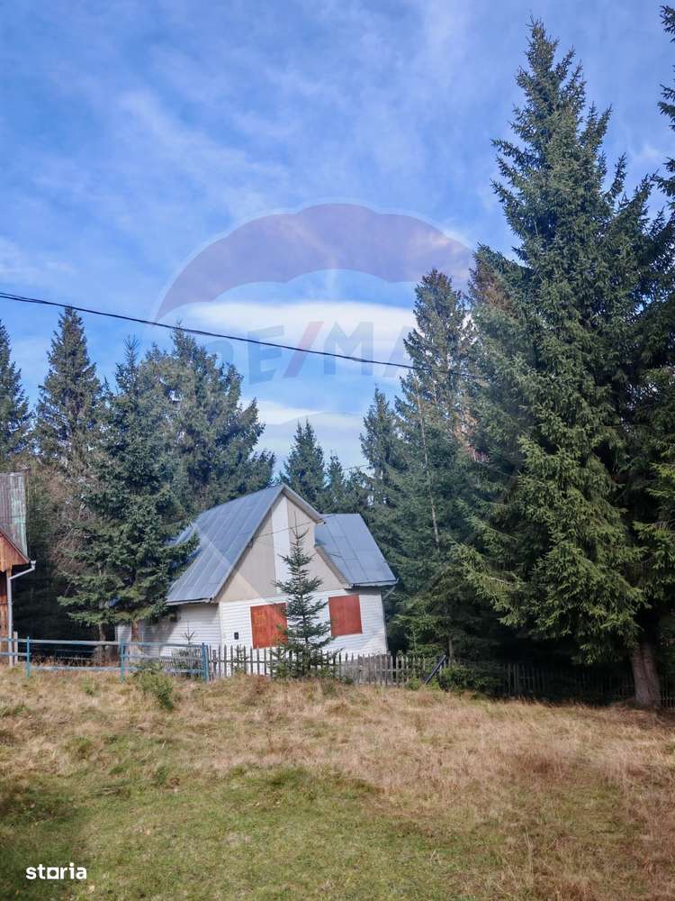 Cabană de vânzare în Muntele Băișorii – Zona Jera-10