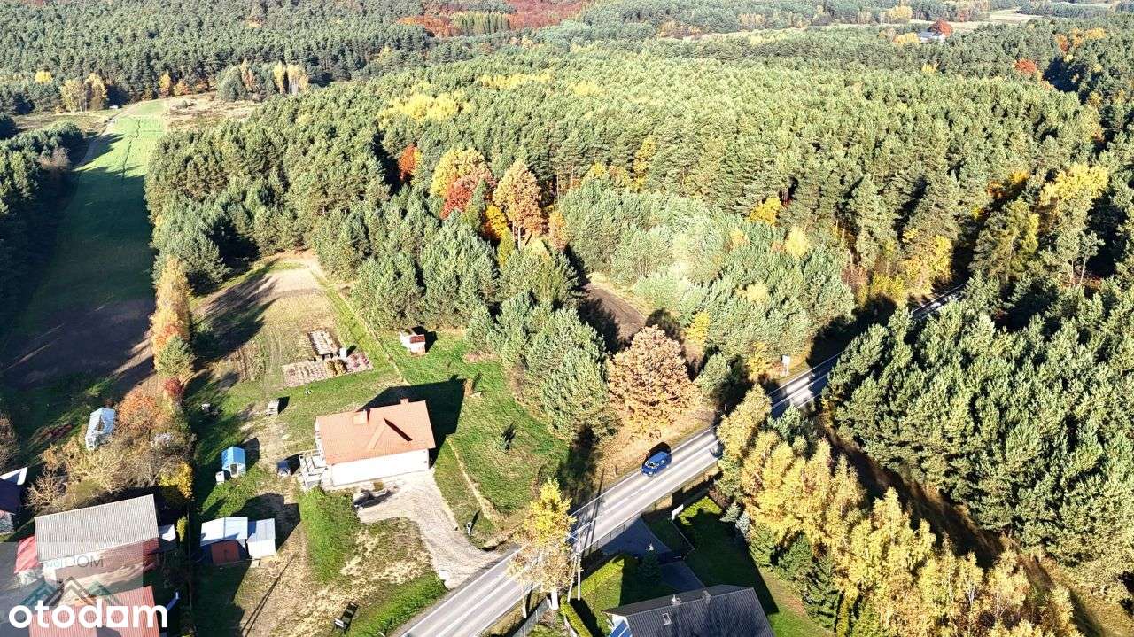 Działka budowlano usługowa gmina Trzyciąż - Pełny obrazek: 4/5