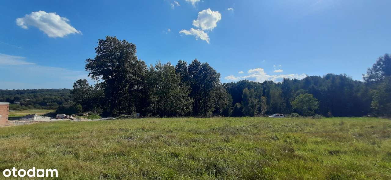 Budowlana działka ~ 13 ar, Czechówka, dojazd, południowy stok - Pełny obrazek: 5/11